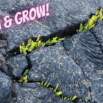 2020 brought crises and challenges, but it is about so much more. Here’s a look at the support and resiliency that also defines 2020 and some tips for more.