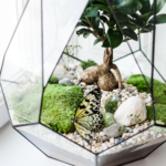 We face troubled times, including a pandemic and politics. To honor Martin Luther King, Jr., here’s how to live by his advice to not become bitter.