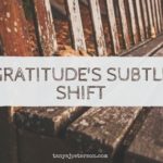 Does gratitude do good, or is it fluff? Discover what it is, isn't, and can do for you.