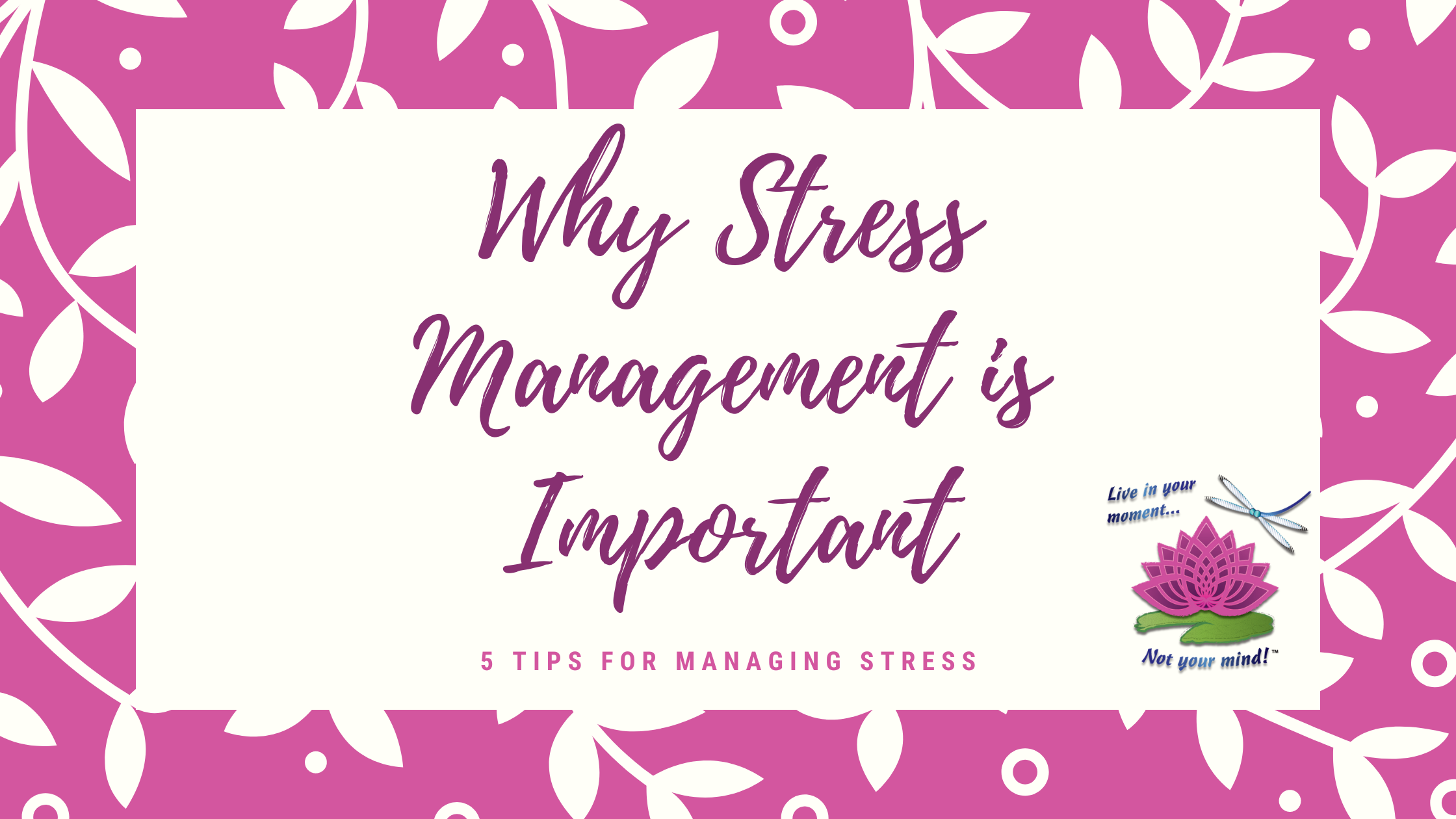 Stress contributes to physical and mental health problems. Explore details about why stress management is important and learn 5 tips for managing stress.